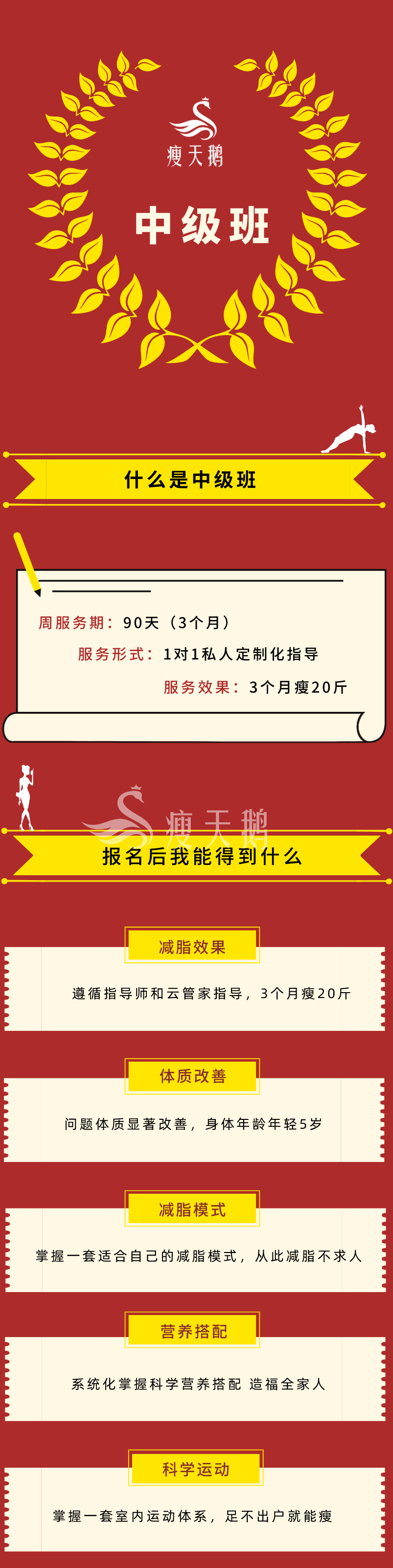 中级班3.0-①定稿.png